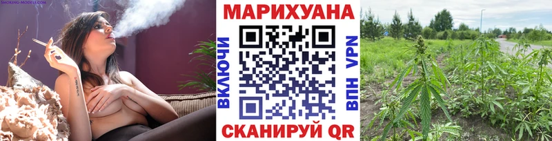 как найти закладки  mega вход  Шишки марихуана конопля  Биробиджан 